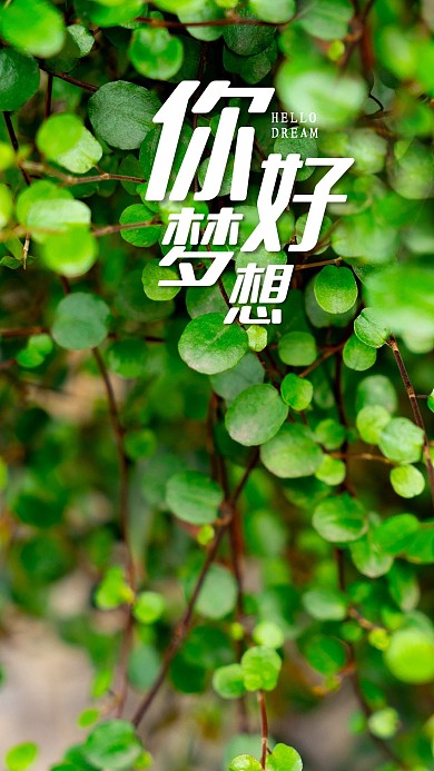 手机海报绿色植物叶子清新