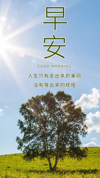 树蓝天白云阳光美好