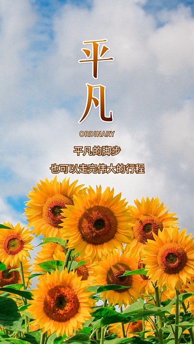 平凡向日葵蓝天白云