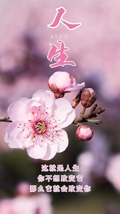 人生花粉色花蕾春天景色