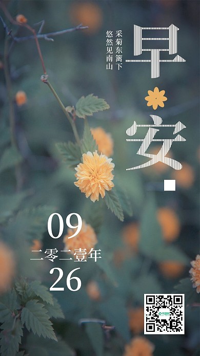 简约清新早安菊花日签