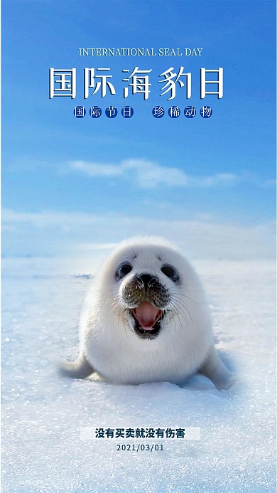 蓝色简约风国际海豹日手机用图保护动物公益宣传海报