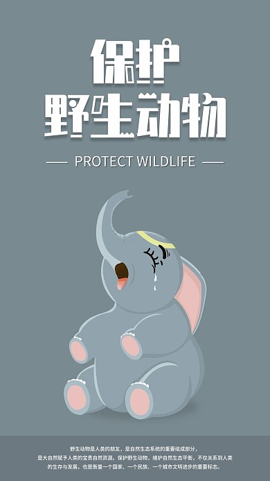 保护野生动物手机海报配图