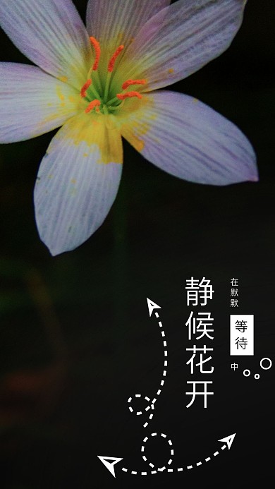 原创等待简约手机用图