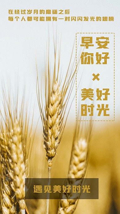 早安你好小麦心语心情手机海报模板