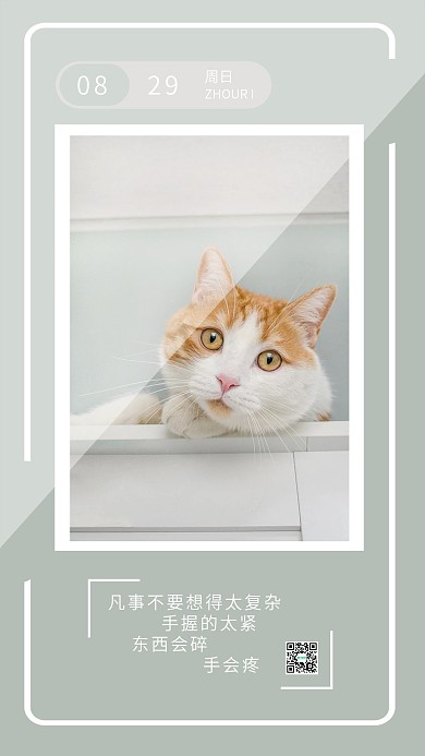 简约清新猫咪手机海报