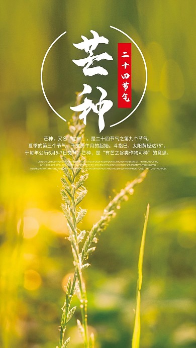 芒种手机海报二十四节气气候