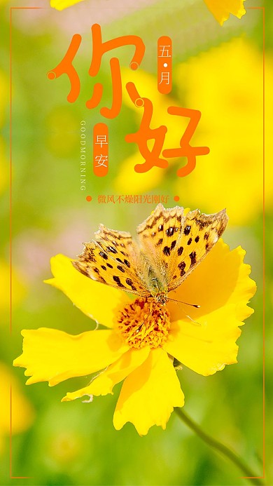 早安你好小清新海报