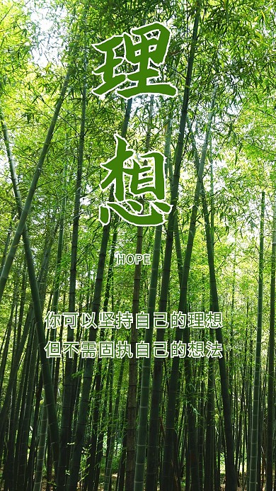 理想竹林竹子清新