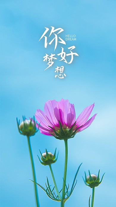手机海报鲜花美景心语心情花儿蓝天