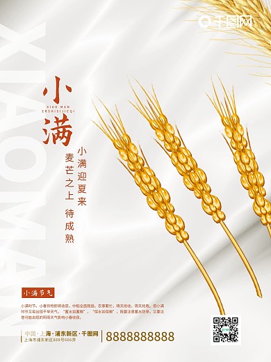 白金简约轻奢房地产小满24节气芒种海报