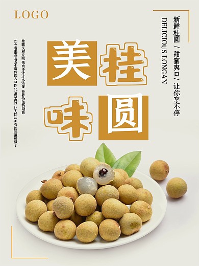 简约大气美味桂圆促销海报