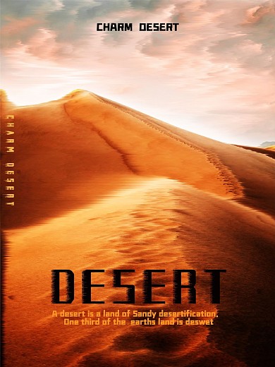 沙漠电影海报风景海报