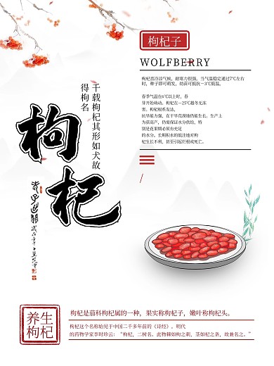 养生枸杞保健品宣传海报中国风