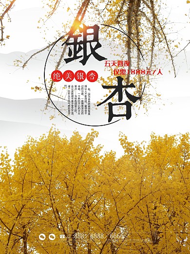 中国风简约大气银杏旅游海报