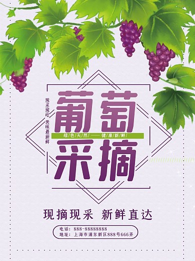 简约葡萄促销海报