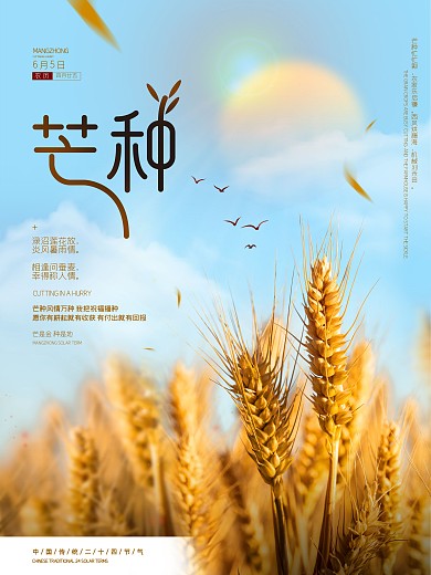 简约芒种二十四节气摄影图海报