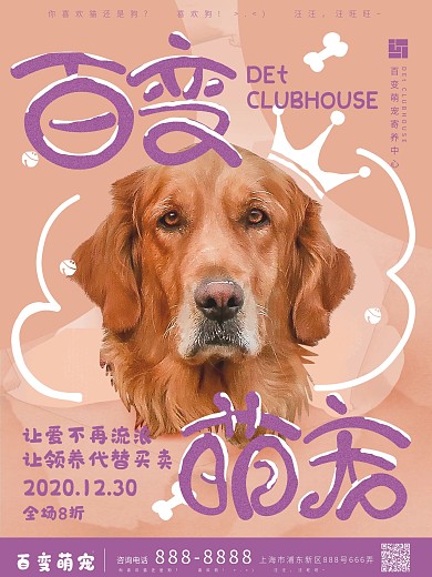 宠物商店寄养促销海报