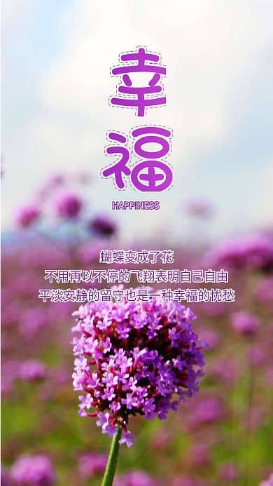 幸福紫色花朵美丽