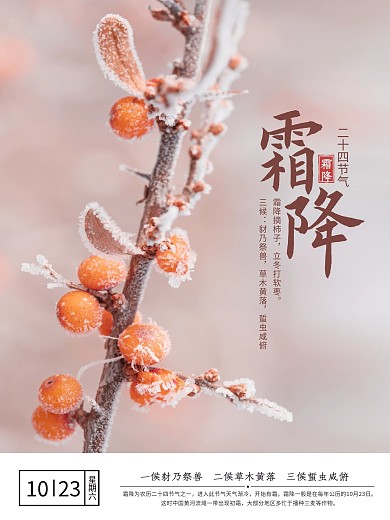 霜降霜降海报霜雪冬天海报结冰