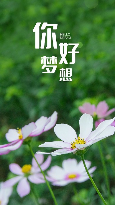 手机海报鲜花绿植花儿心情心语美景