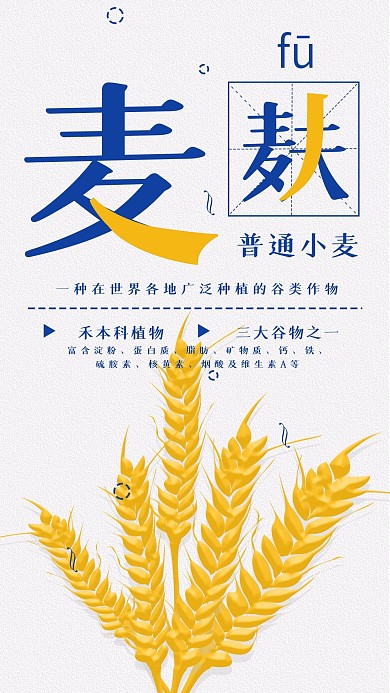 小麦科普知识麦穗手机海报配图