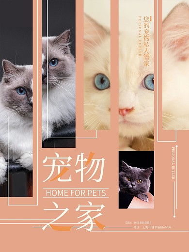 可爱猫咪宠物之家促销海报