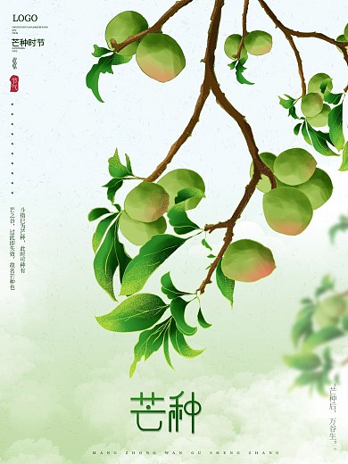 原创手绘文艺留白传统节气青梅芒种节日海报