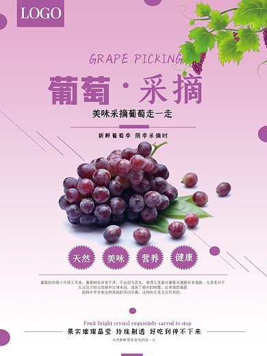 简约大气紫色葡萄采摘海报