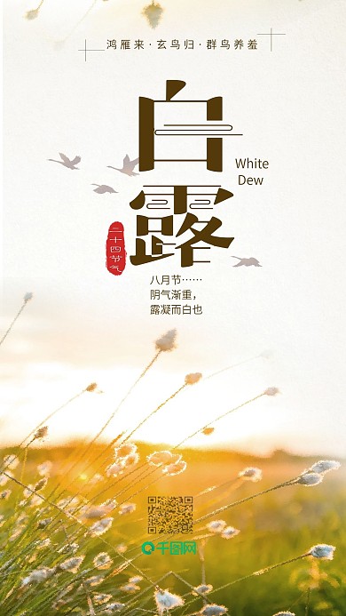 清新简约二十四节气之白露手机海报
