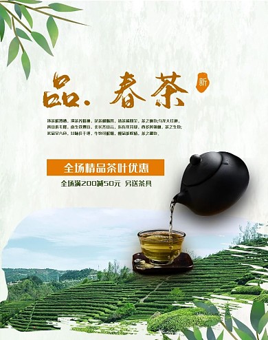 茶上新 春茶品茶