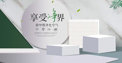 除甲醛