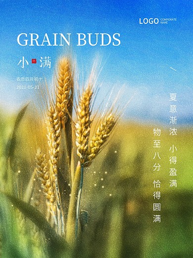 小满芒种渐变清新二十四节气地产摄影图海报
