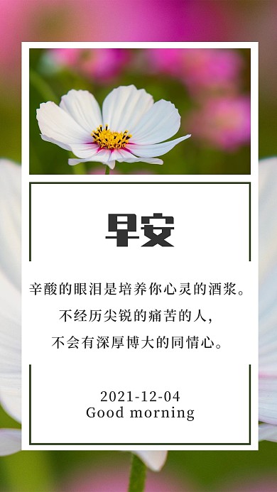 简约小清新花朵心情心语早安日签壁纸素材