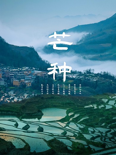 芒种传统节日二十四节气海报夏天夏季