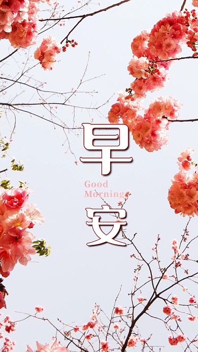 手机海报心语心情花早安