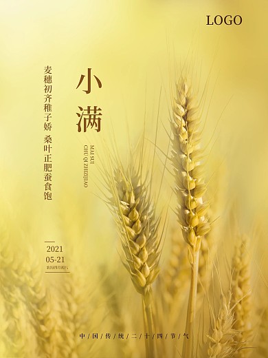 简约风小满二十四节气海报