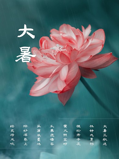 大暑传统节日二十四节气海报夏天夏季荷花