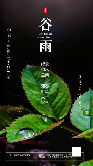 清新简约大气谷雨节气手机海报