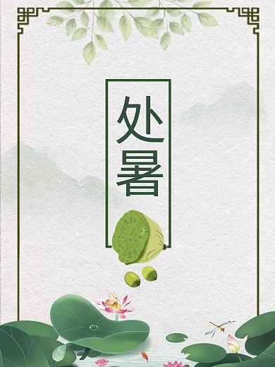 处暑24节气夏天夏至荷花莲藕