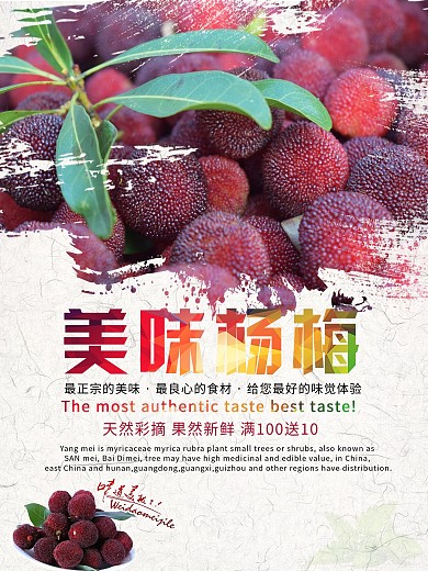 水果海报之美味杨梅