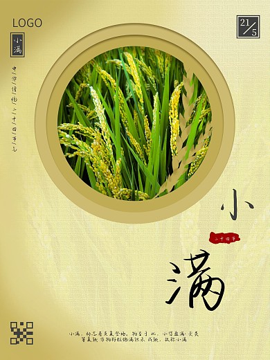 简约二十四节气小满夏至稻谷农作物宣传海报