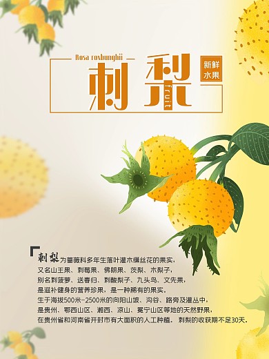 刺梨云贵水果珍贵水果新鲜水果