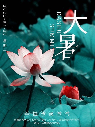 大暑清新节日海报展板