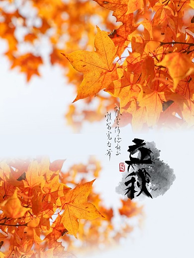 立秋宣传海报设计