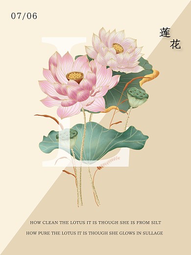 插画海报莲花