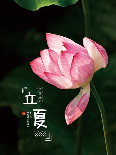 传统二十四节气立夏