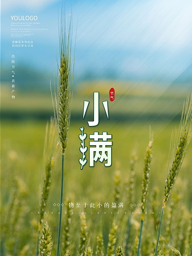 简约小满节气宣传海报二十四节气小麦田背景