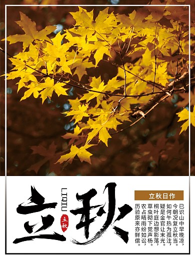 简约立秋节气摄影图海报