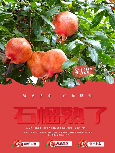 简约大气石榴促销海报